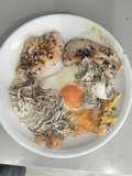 Huevos fritos con gulas y pechugas de pollo. Combinado