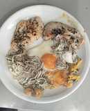Huevos fritos con gulas y pechugas de pollo. Combinado