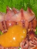 Firefly Squid with Spicy Mustard & Vinegar-Miso Sauce