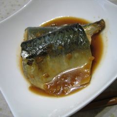 A picture of Miso Simmered Mackerel.