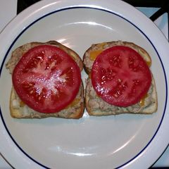 A picture of Open faced tuna melt.