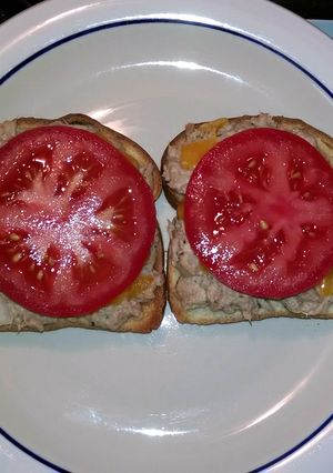 A picture of Open faced tuna melt.