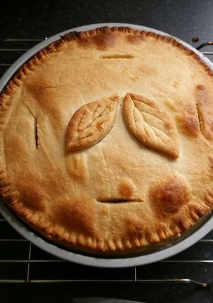 A picture of Creamy Chicken & Mushroom Pie.