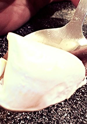 A picture of Homemade Mascarpone Cheese.