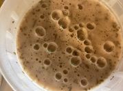 A picture of lobster soup