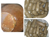 Pempek teri
