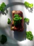 Ladybirds BBQ Steak Rollups .