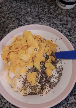 Una foto de Yogurt en yogurtera winco
