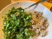 A picture of palak paneer