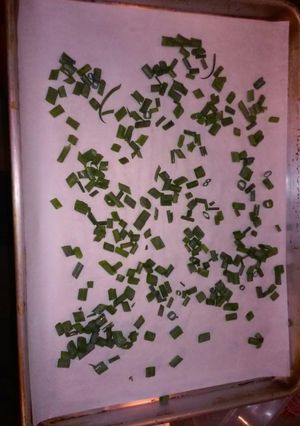 A picture of Green onion bits.