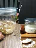 Yeast Water Salak (1166)