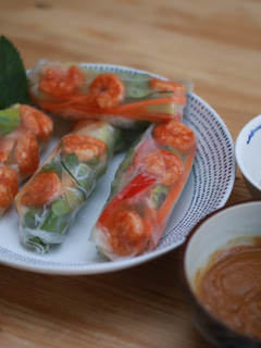 A picture of Summer Roll.