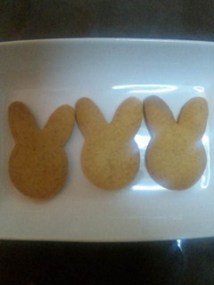 A picture of Egg and Dairy Free, Whole Wheat Flour and Honey Cookies.
