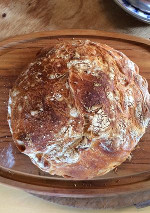 A picture of World's Best Bread (tm).