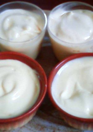 A picture of Dairy-Free Soy Milk Mousse.
