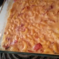 A picture of Cheesy macaroni with fire roasted tomatoes.