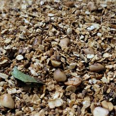 A picture of Oats chivda.