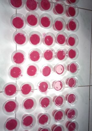 Foto resep Agar agar pop ice & buah naga