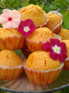 A picture of T's simply sunny orange cupcakes.
