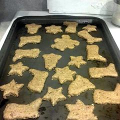 A picture of Spent Grain Dog Biscuits.