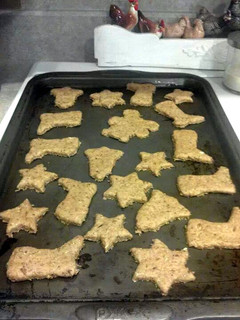 A picture of Spent Grain Dog Biscuits.