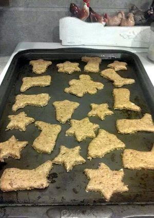 A picture of Spent Grain Dog Biscuits.