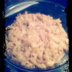 A picture of momma's over the top crab Mac 'n' cheese.