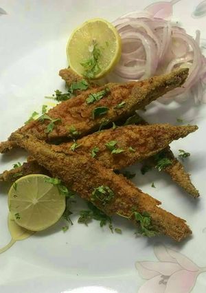 A picture of Promfret rava fry.