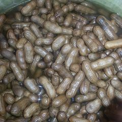 A picture of Boiled Peanuts.