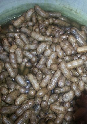 A picture of Boiled Peanuts.