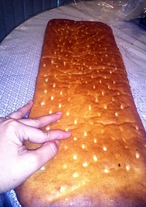 A picture of long size yeast bread.