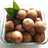 Bolu Peca'