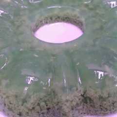 Puding lumut রেসিপির প্রধান ছবি
