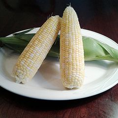 A picture of Freezing Fresh Summer Corn.