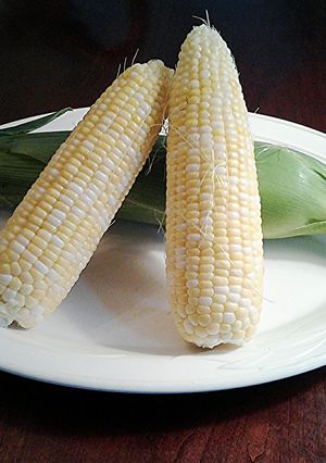A picture of Freezing Fresh Summer Corn.