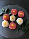 ★Camellia  Rice ball Sushi★