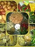 Peanut chutney Powder