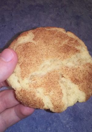 A picture of Grandma's Snickerdoodle Recipe.