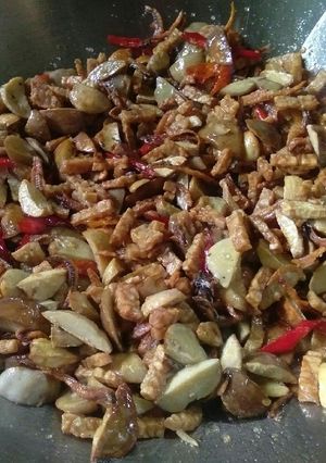 Foto resep Oseng Jengkol Tempe Teri