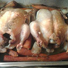 A picture of Simple roasted chickens.