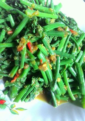 Foto resep Tumis Pucuk Labu Siam