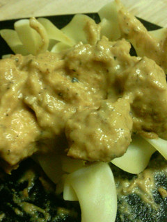 A picture of Chicken and Noodles with Pumpkin Sauce.