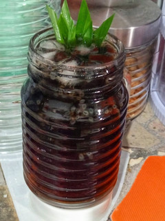 Foto resep Es cincau teh pandan