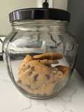 Cookie with Insects