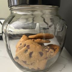A picture of Cookie with Insects.