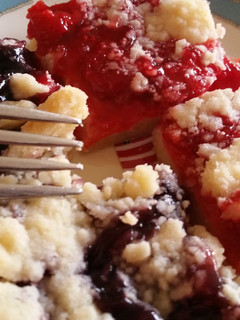 A picture of Blueberry and cherry squares.
