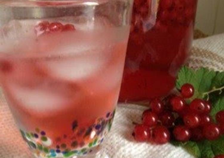 Recipe of Favorite Red Currant Sour Drink