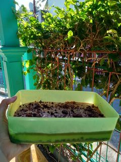 Foto resep Dessert box oreo