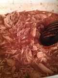 Root Beer Pulled Pork - Crock Pot Recipe