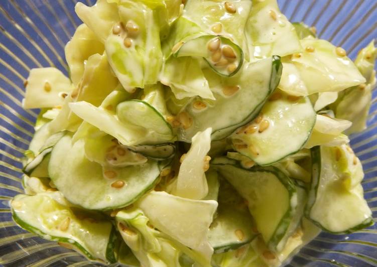 How to Make Super Quick Homemade Cabbage and Cucumber Sesame and Mayonnaise Salad
